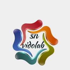 sn vidolab