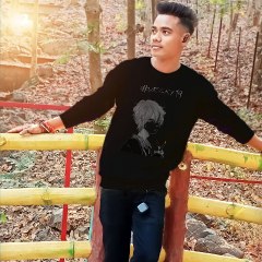 VRICKY ROY