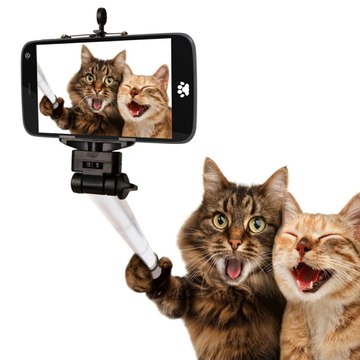 Enjoy viral video