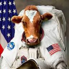 SpaceCow
