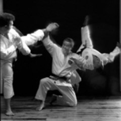Bushido Spirit