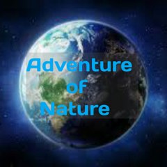 Adventure of earth