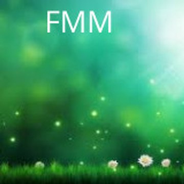 FMM Bangala