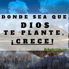 VIDA en JESUS