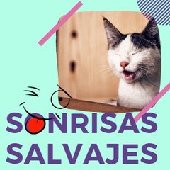 sonrisas salvajes