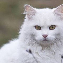 dm_62a234e44617b9db965d0ef3b6193076