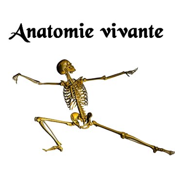 Anatomie vivante