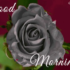 tarik ke bol bacchan