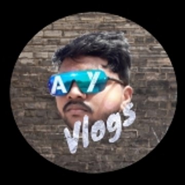 AY Vlogs