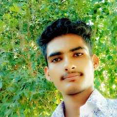 Rajput Mahi