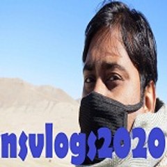 nsvlogs2020