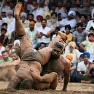 India wale tiger wrestling