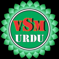 VSM Prime