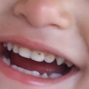 Pakhtoon Vlogs & Vines