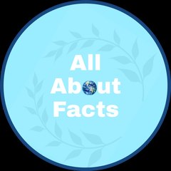All About Facts