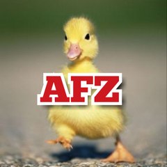 Animal Fun Zone