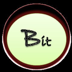Bhanu Infotek