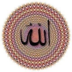 FAIZ SHAH OFFICIAL
