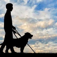 Biswanath Motivation