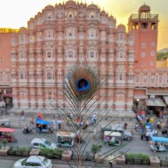 chhotu