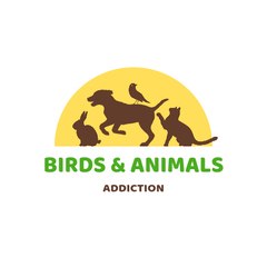 Birds And Animal Addiction