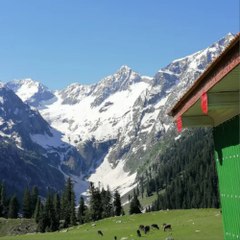 Learn And Explore The World