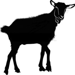 Animal Mandi