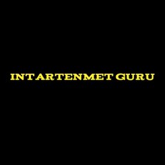 Intartenmet guru