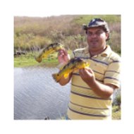 Eri Alves Pesca - Fishing