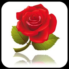 dm_57c3a9d71628b1e3895c2db0ad50a0b4