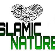 Islamic Nature