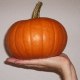 pumpkinpie
