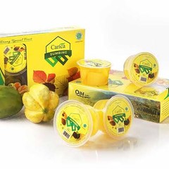 +62 852-3610-0090 | Carica dieng manis
