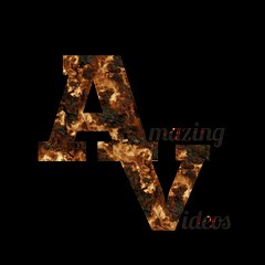 Amazing Videos