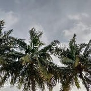KREATIVE  PAATHSHAALA