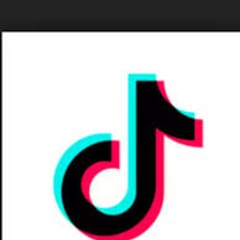 Falsifier Tiktok