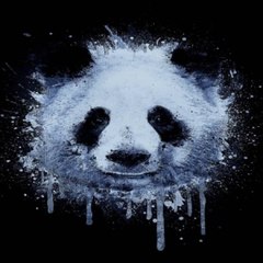 Bay Panda