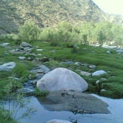 حالات واتس اب