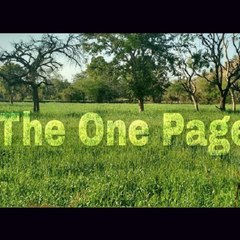 The One Page