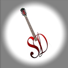 Song's Diary