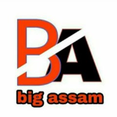Big Assam