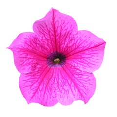 Azam Khan