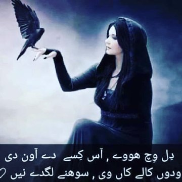 Dream Facts