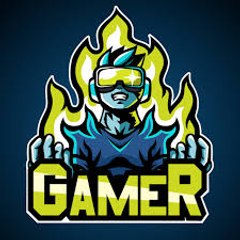 V GAMER MX