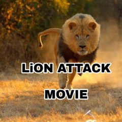 Lion ATTACK Movies