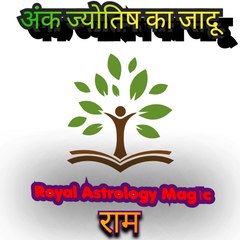 Royal Astrology Magic