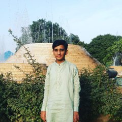 cricket update