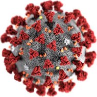 Coronavirus News