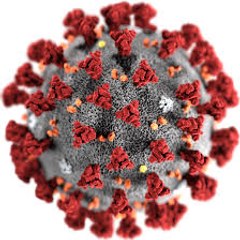 Coronavirus News