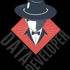 Data Developer